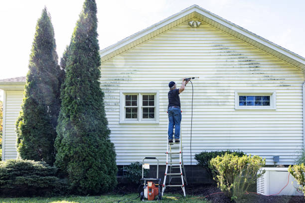 Deck Cleaning Services in Fairmont, IL