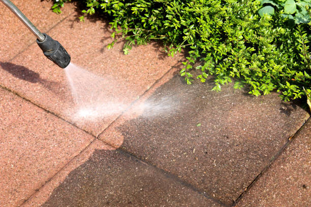 Best House Pressure Washing  in Fairmont, IL